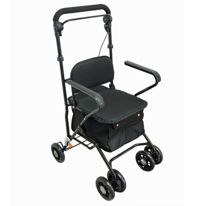 Carro de la compra y andador Carlett